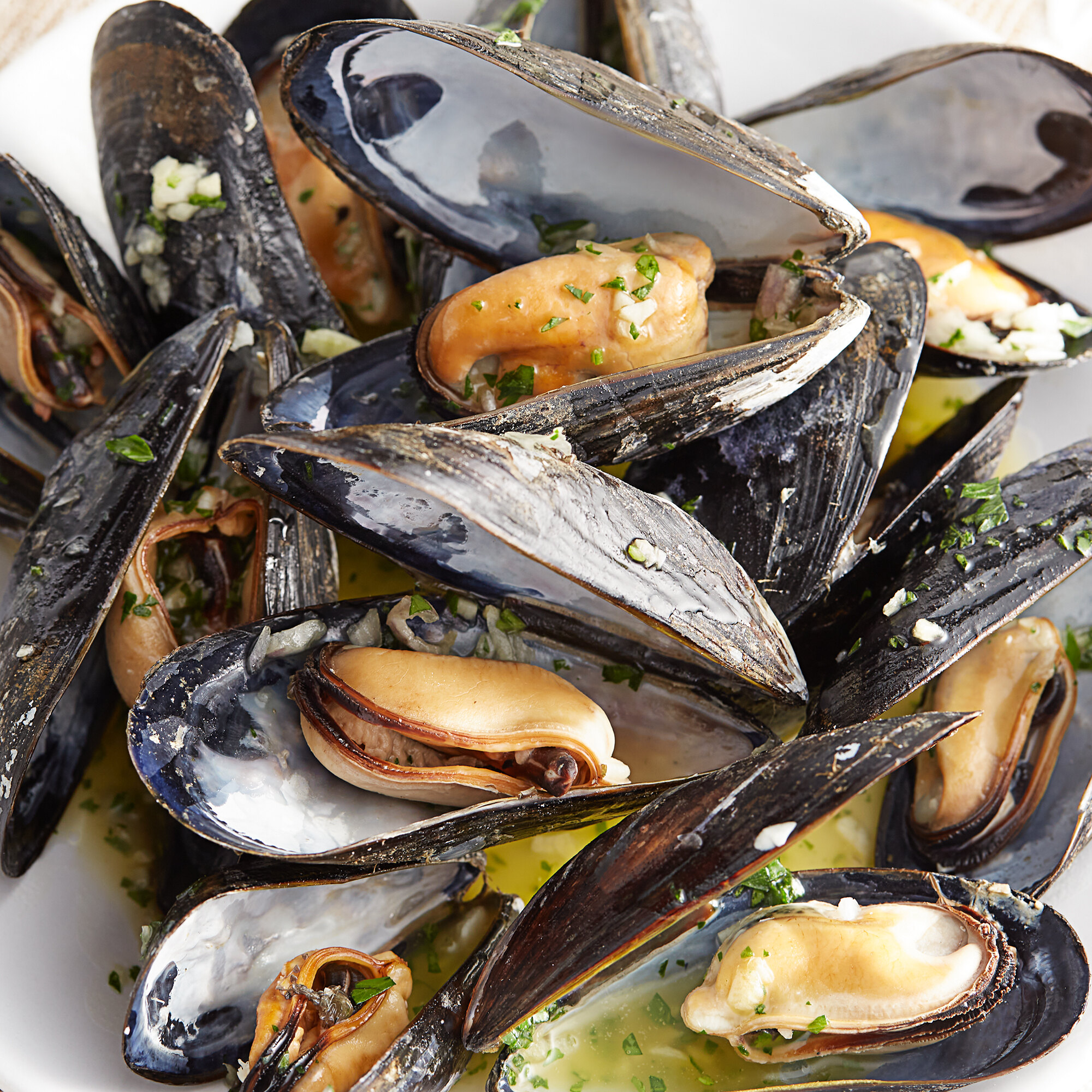 Wulf's Fish Live Hollander & de Koning Maine Mussels (10 lb.)