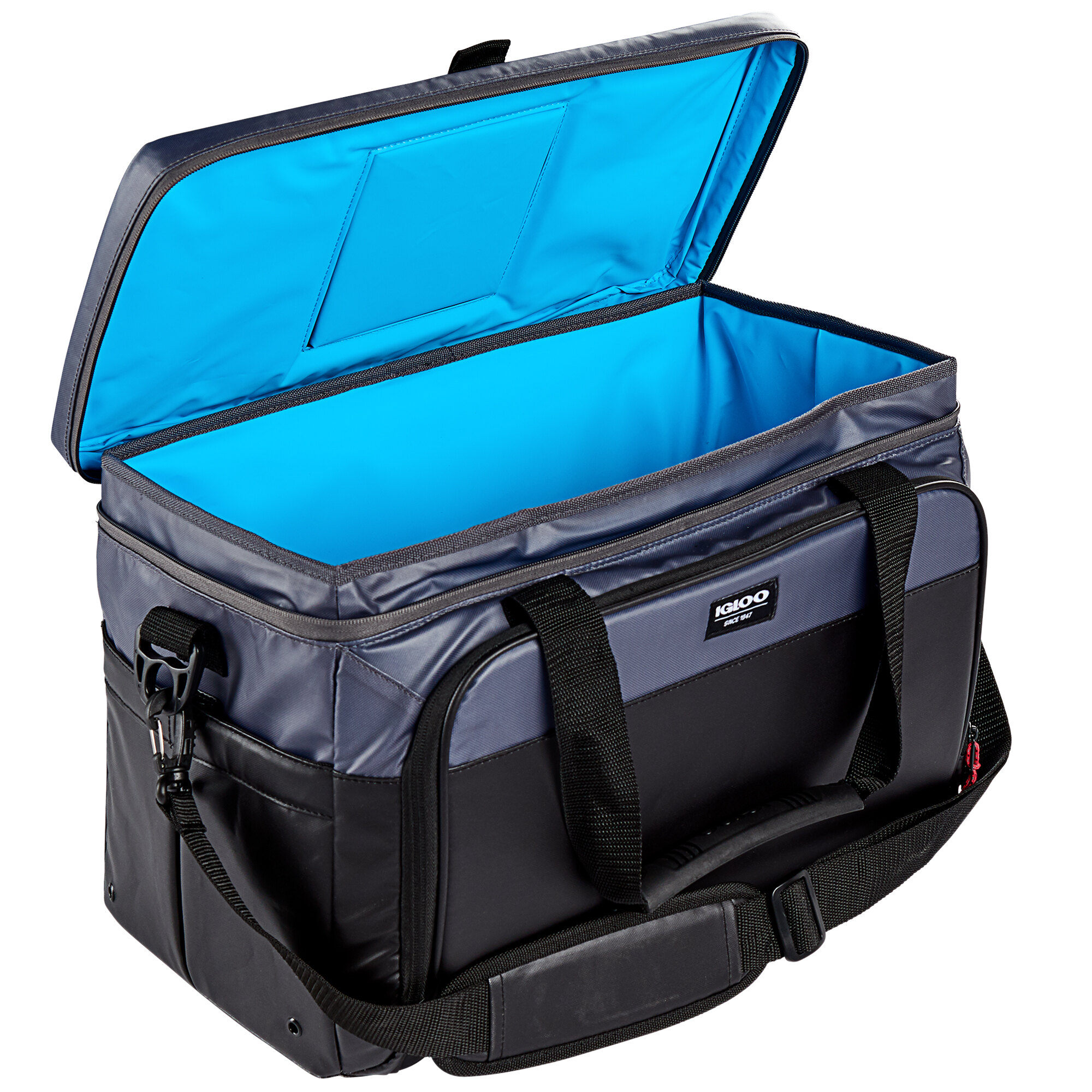 igloo insulated cooler bag