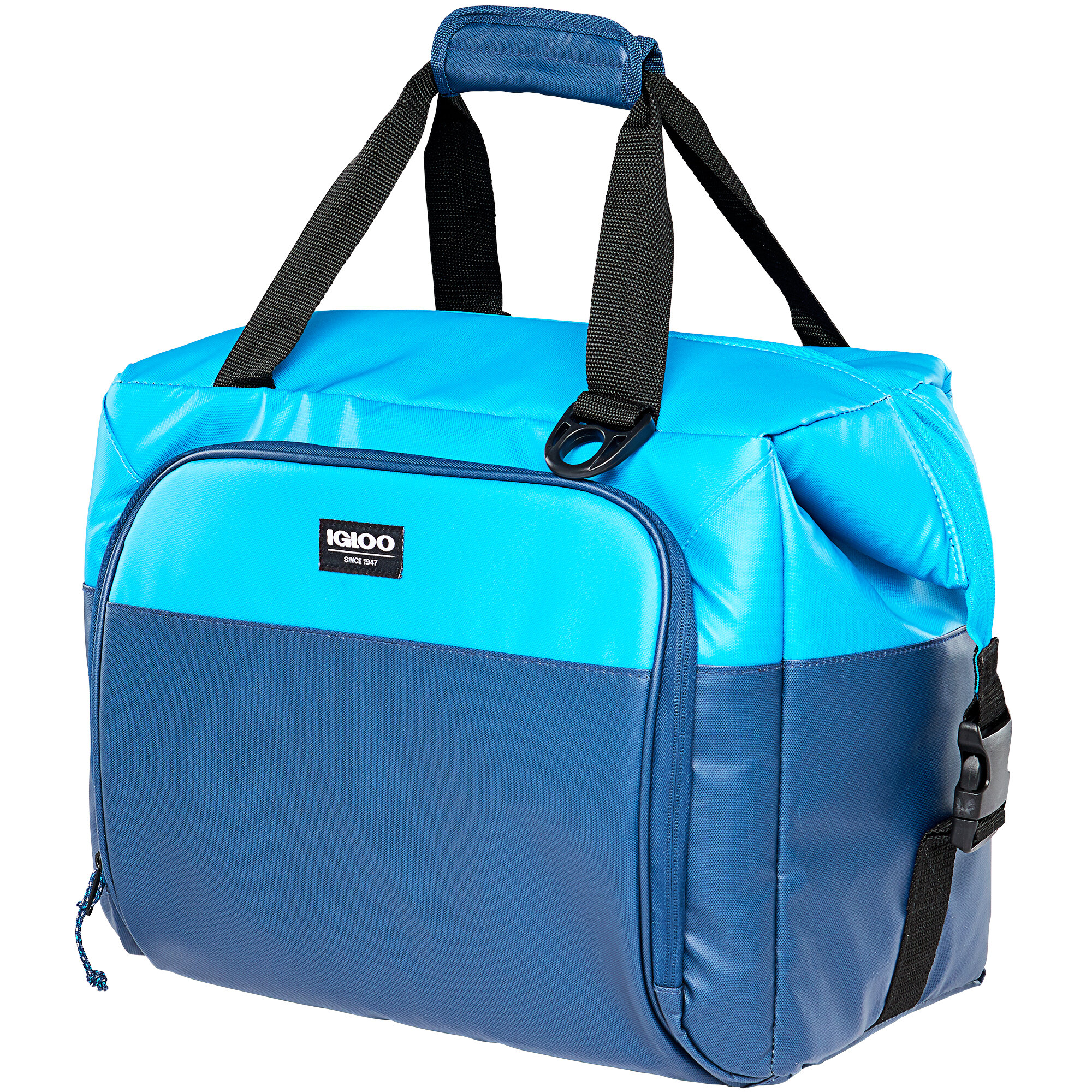 igloo insulated cooler bag