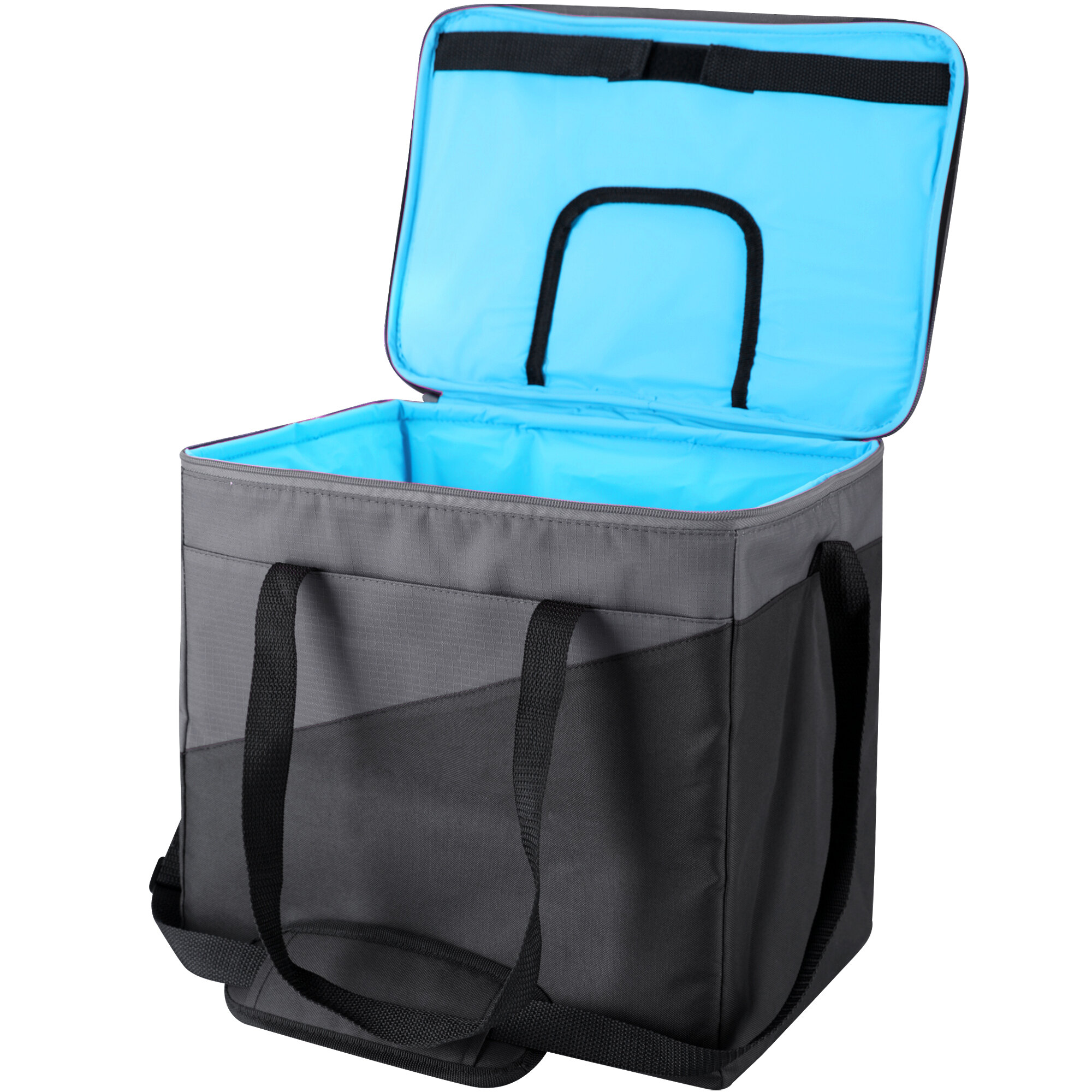 igloo insulated cooler bag