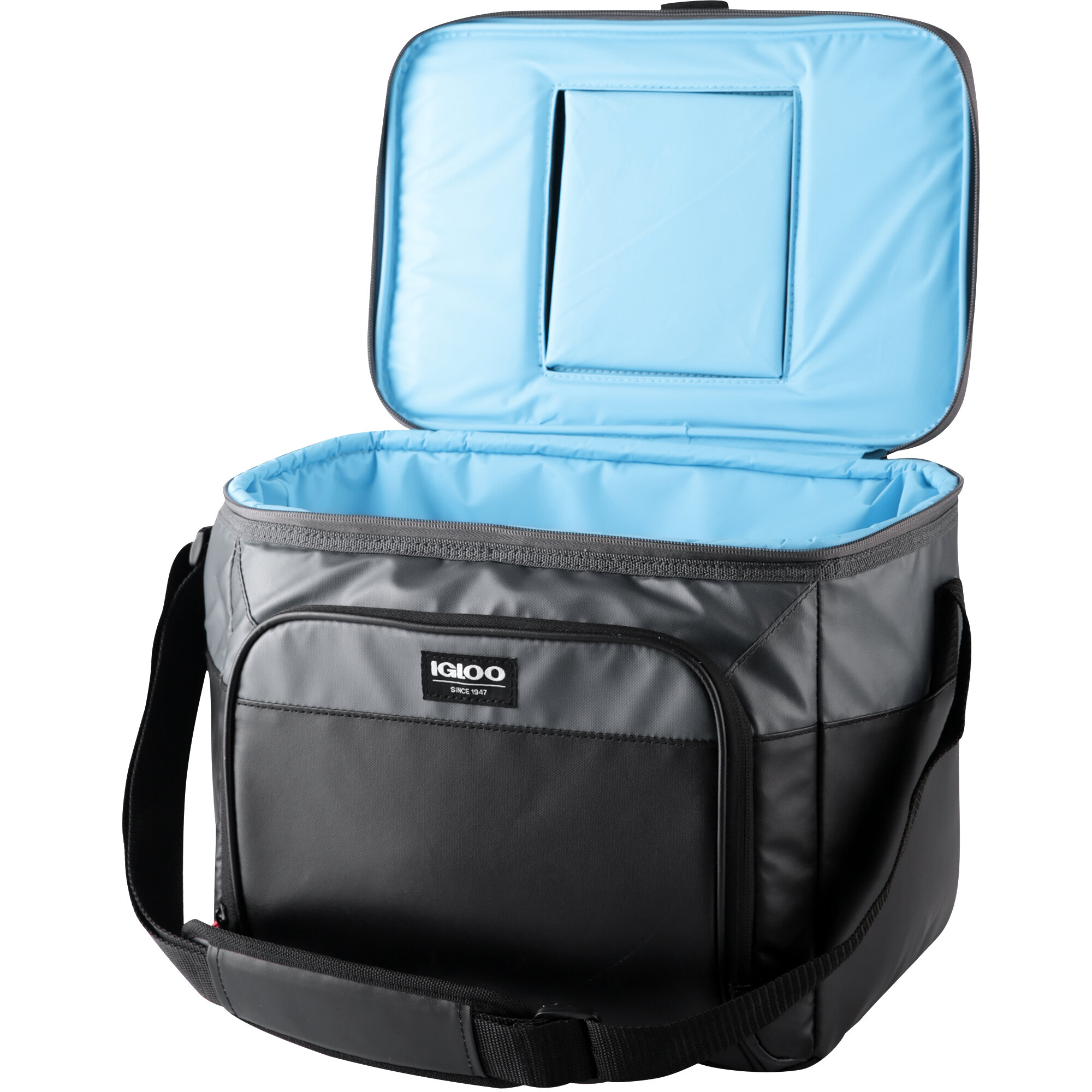 igloo insulated cooler bag