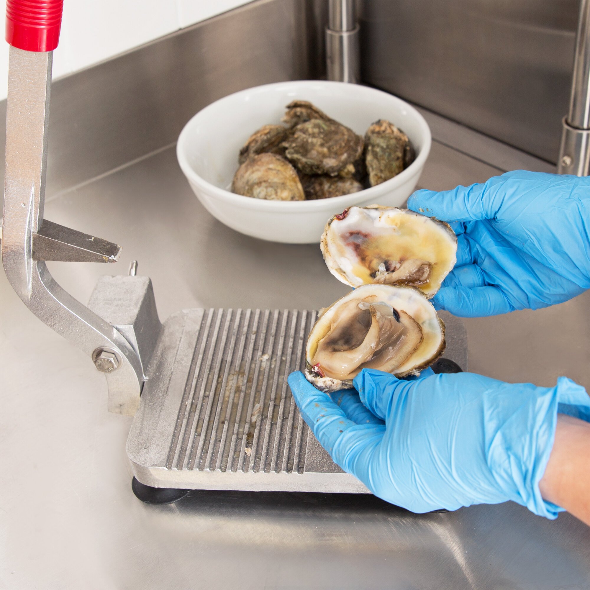 Vollrath Oyster Shucker Machine - WebstaurantStore