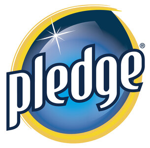 Pledge