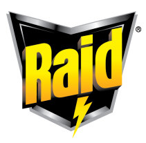Raid