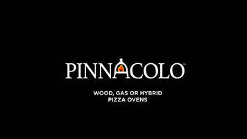 Fire One Up Pinnacolo Ibrido Hybrid Pizza Oven—Free Accessories