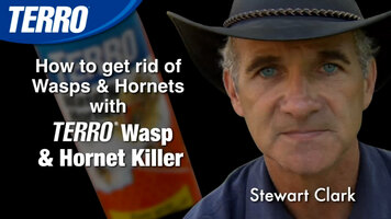 TERRO Wasp & Hornet Killer