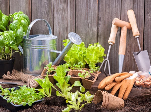Growing A Garden for Your Restaurant
