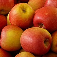 https://cdnimg.webstaurantstore.com/uploads/blog/2015/9/apples.jpg