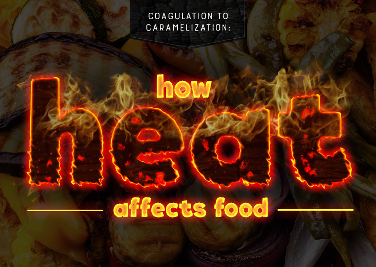 Temperature of food, Temperature zone is an important aspec…