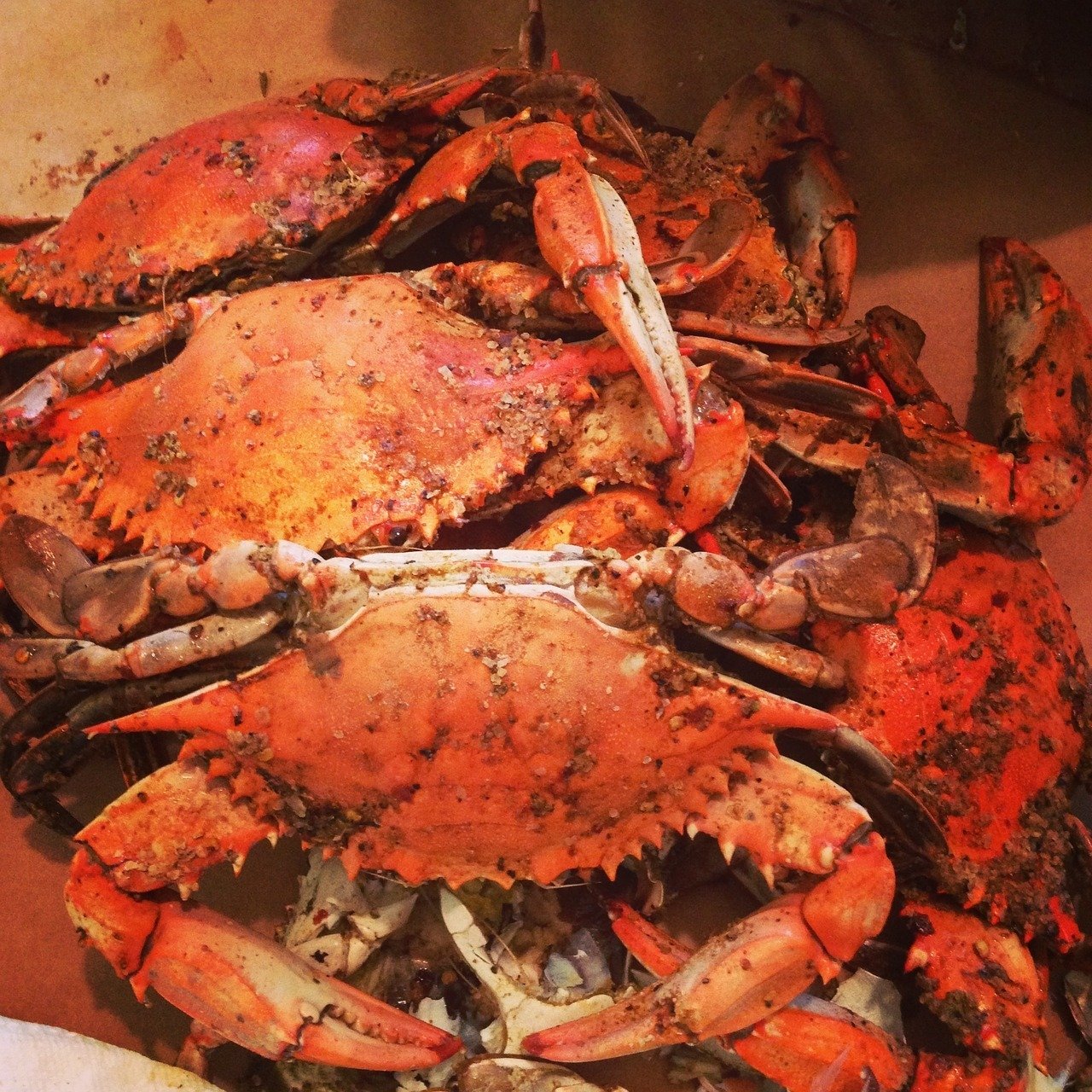 Crab Mallet & Paper Towel Holder - Red Crab - The Caramel Kettle