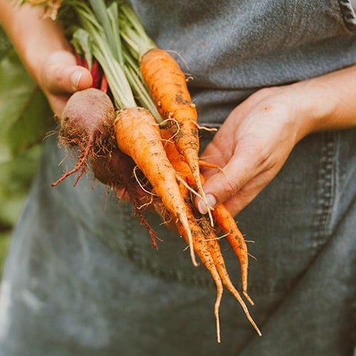 Fresh Produce Sourced From Local Farmers