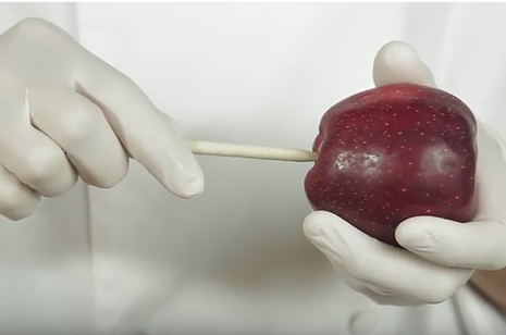 hand inserting skewer into red apple