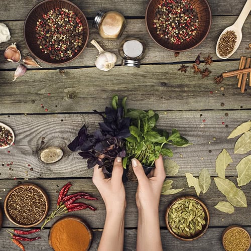 Person holding fresh herbs with bowls filled with whole spices