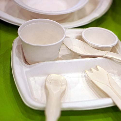 All Styrofoam plates, bowls and plastic bags wi no longer be