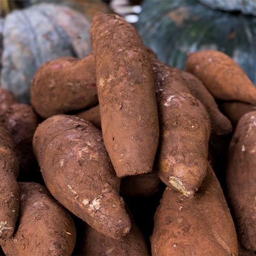 Several large, brown skinned yams piled on top of each other.