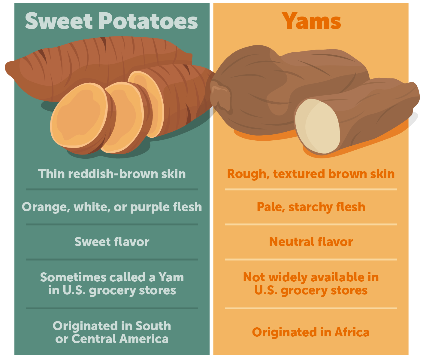 Sweet Potatoes vs. Yams infographic.