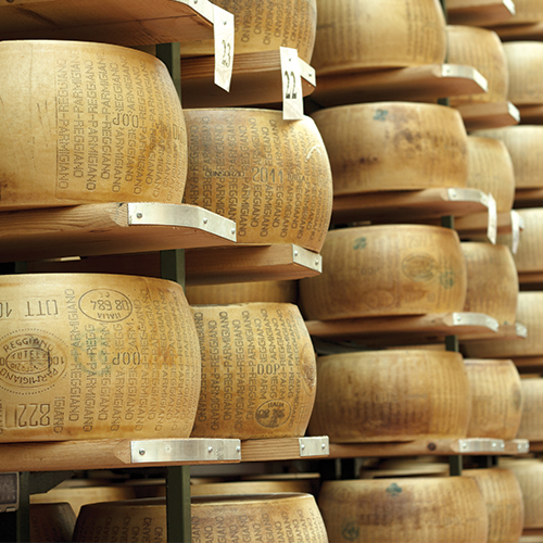 hundreds of different varieties of parmigiano reggiano in the biggest  parmesan cheese storage kinds of cheese ripening. picture of a cheese  factory in Switzerland. Generative AI Stock Illustration