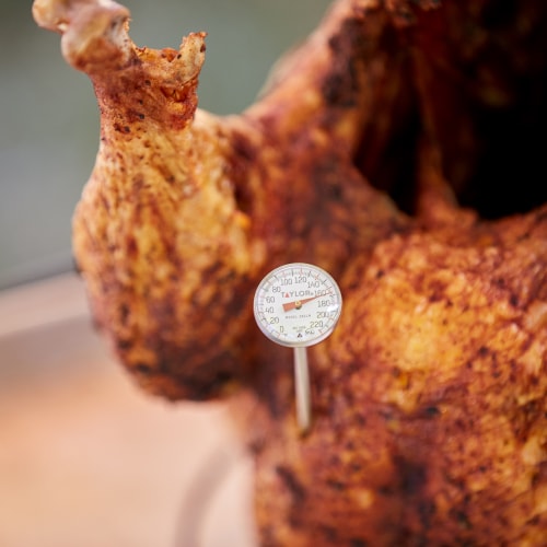 hand sticking probe thermometer into deep fried turkey