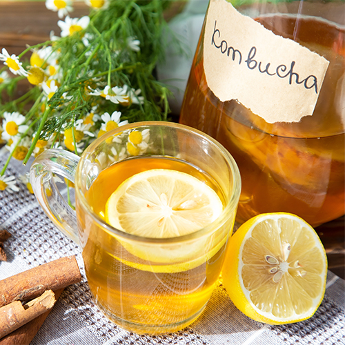 Kombucha Benefits