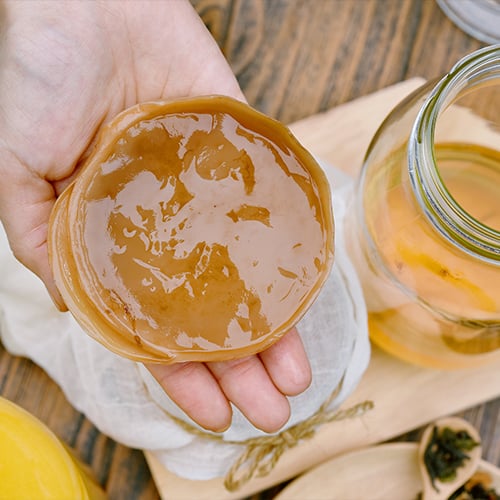 What is Kombucha? How Its Made, Bacteria & Health Benefits