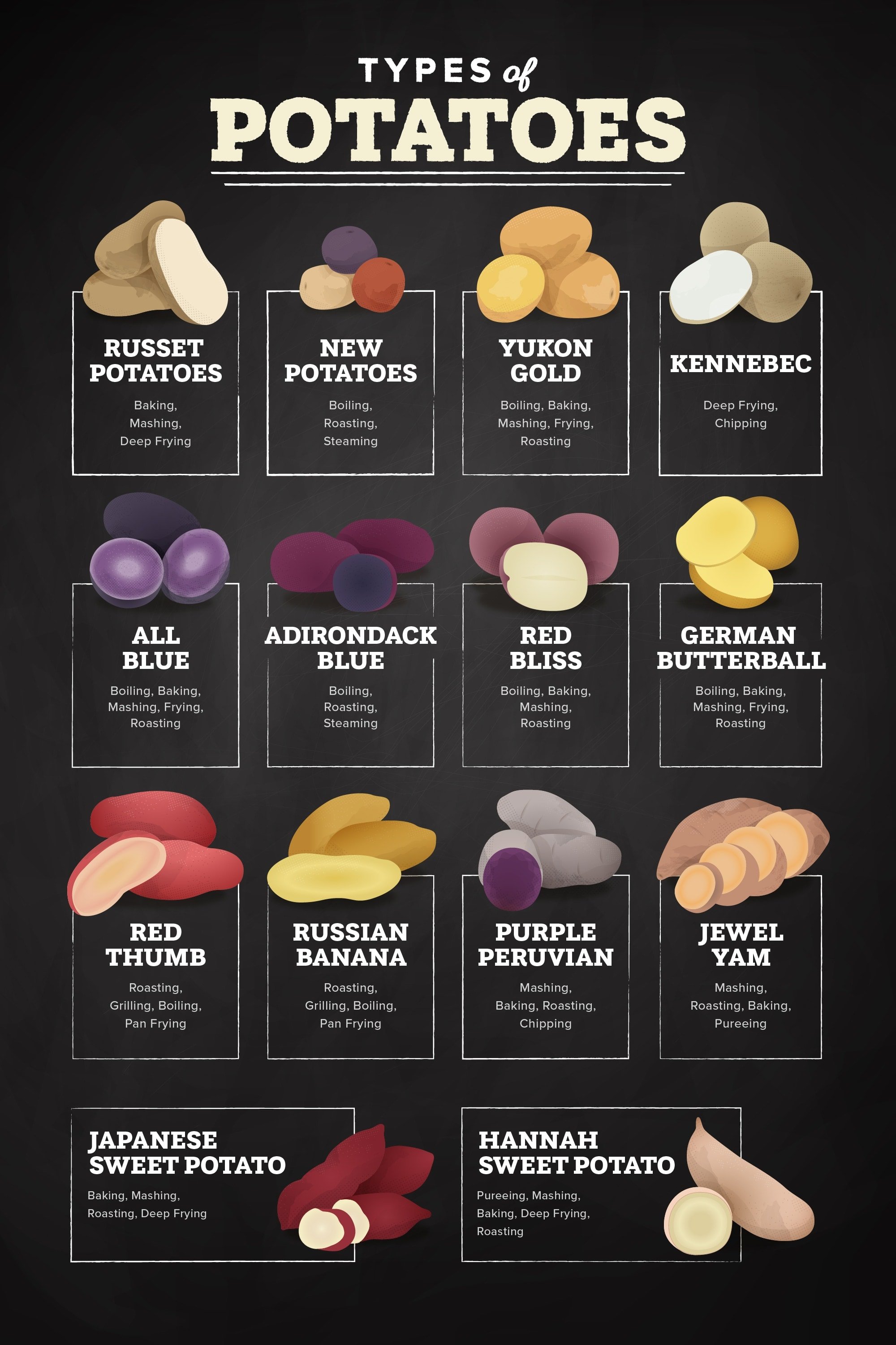 Types of Potatoes Infographic