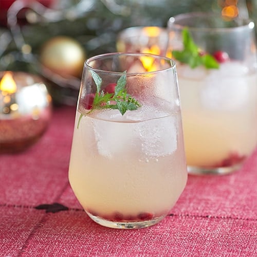 A glass with a cloudy drink with ice cubes, mint sprig, pomegranate and cranberries.