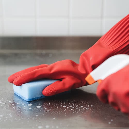 How To Clean and Disinfect a Dish Brush