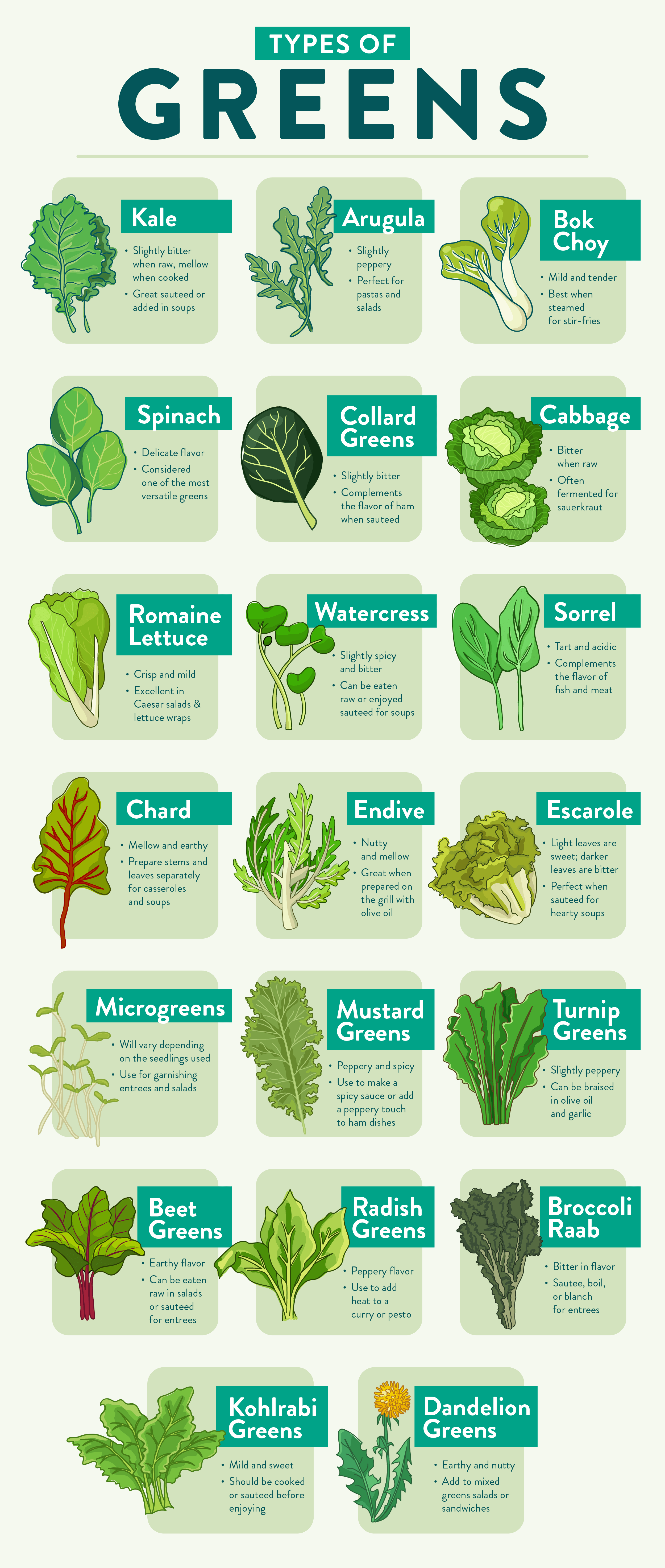 Types of Greens Infographic