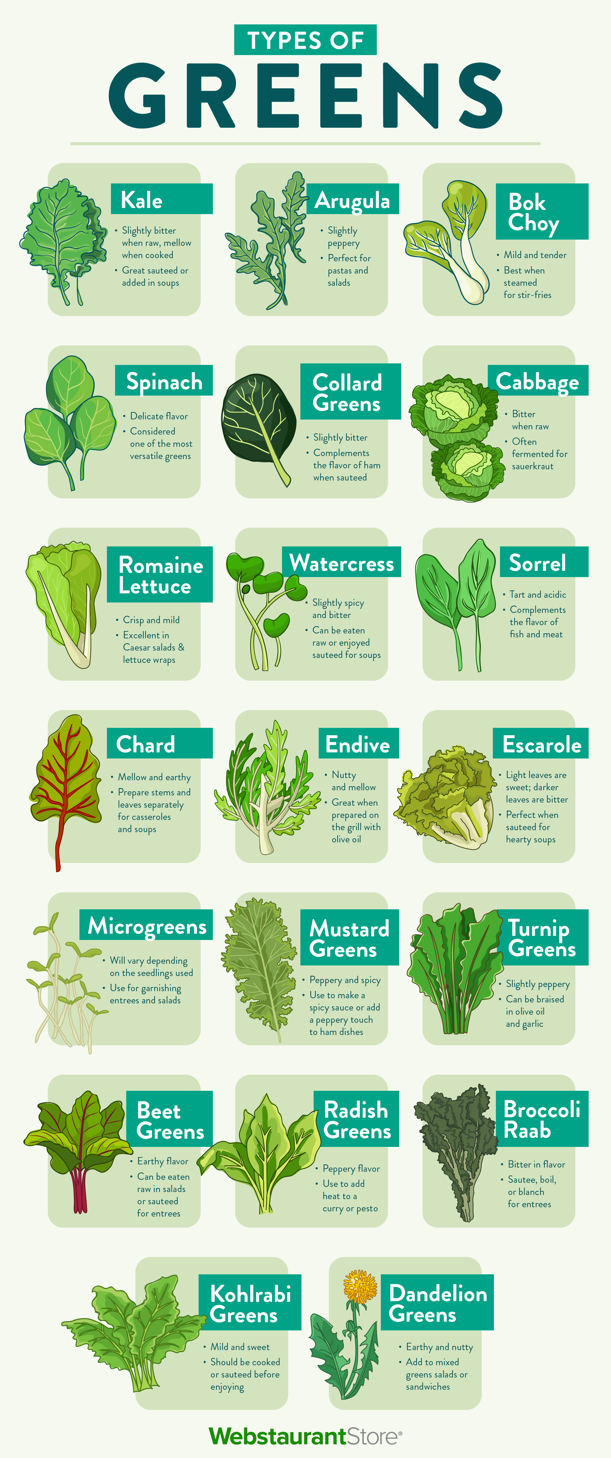 20 Types of Greens to Spruce Up Your Meals