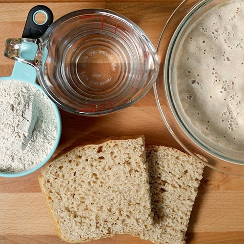 Sourdough Starter Ingredients