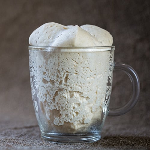 sourdough starter overflowing in jar