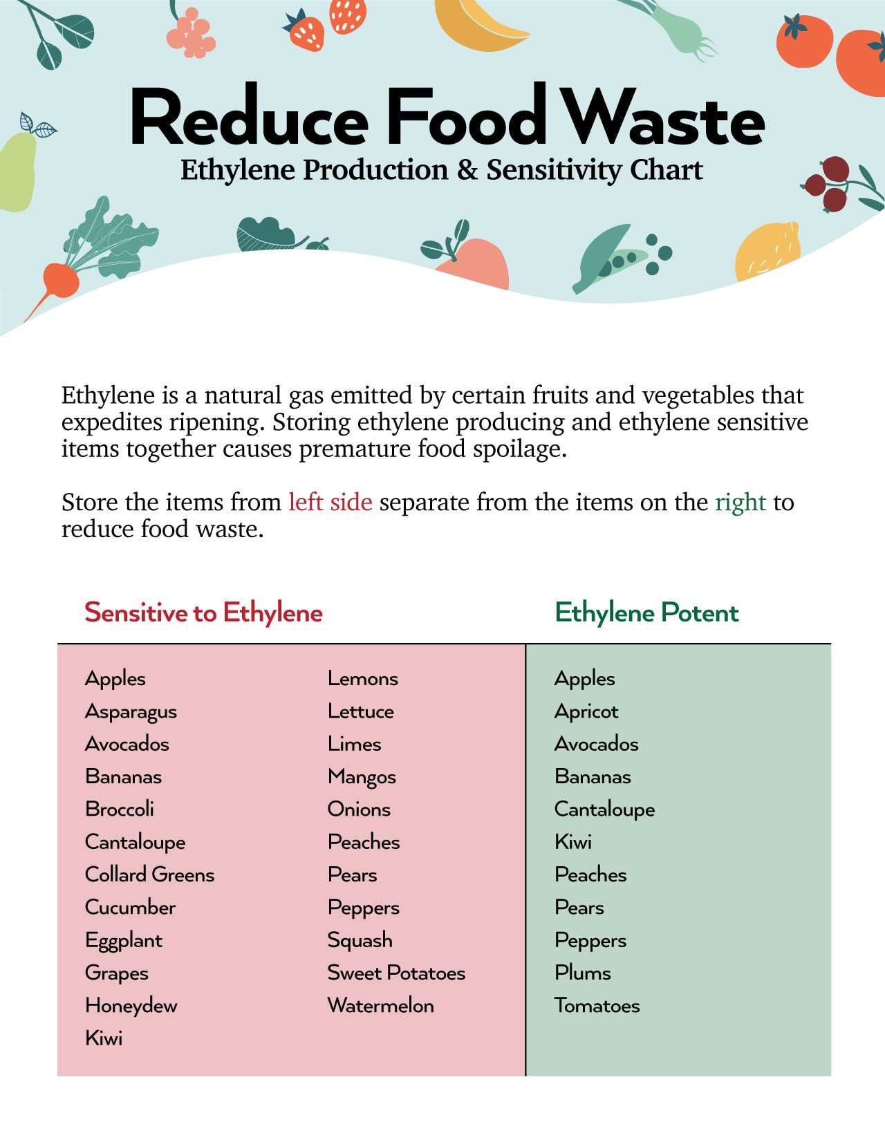 How To Store Fruits Vegetables Temperatures Times Tips More