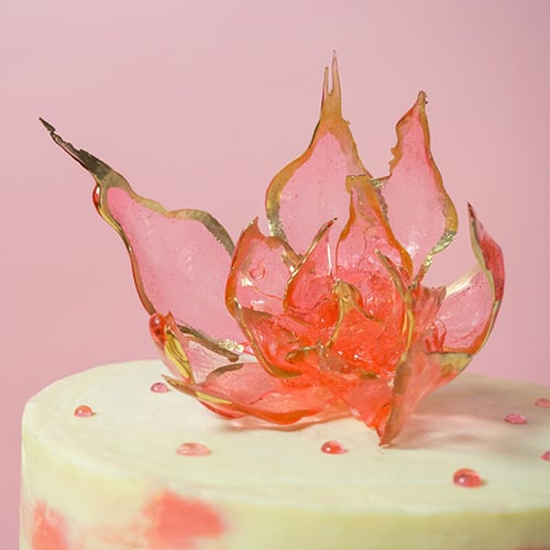 Isomalt, Sucre et Fructose