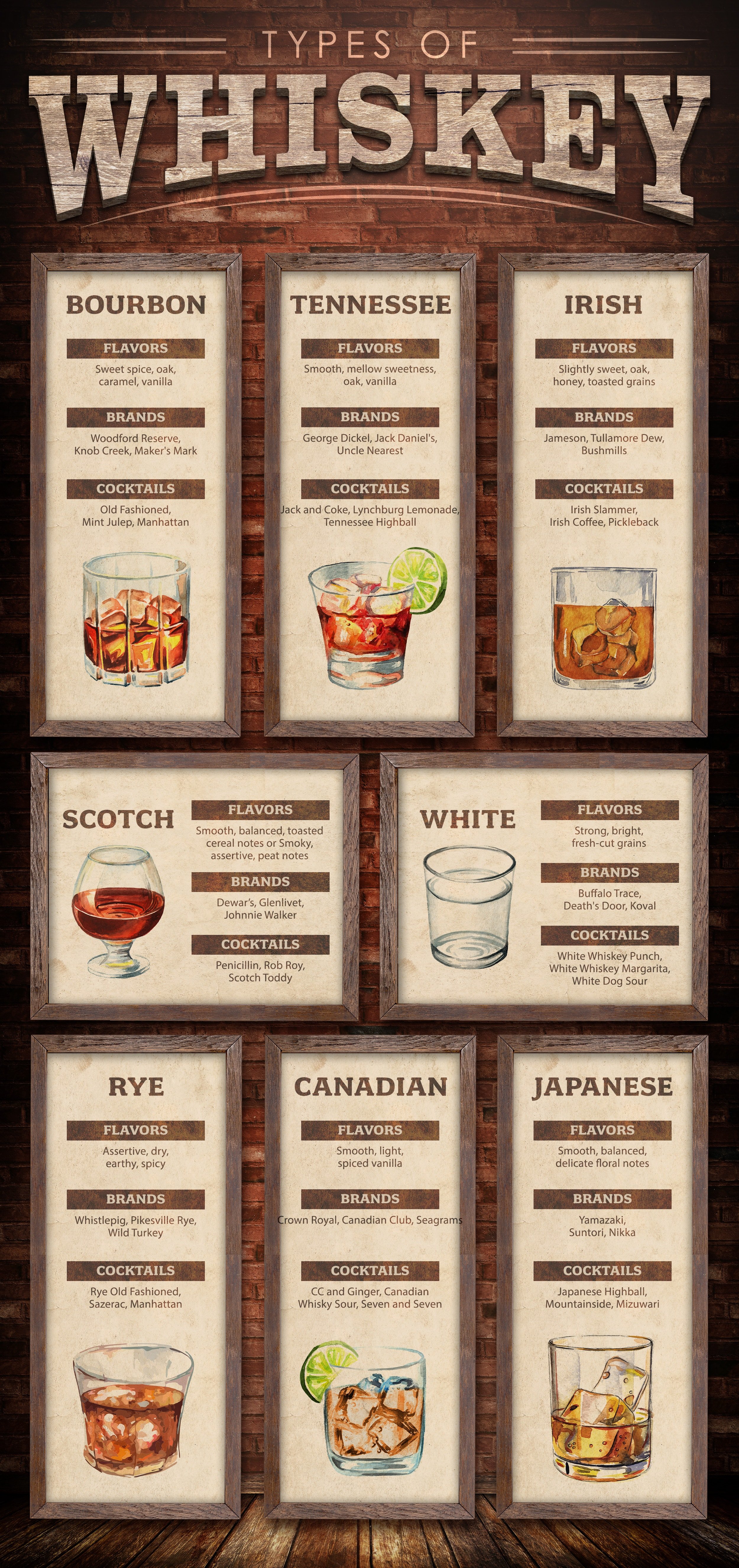 Types of Whiskey Infographic