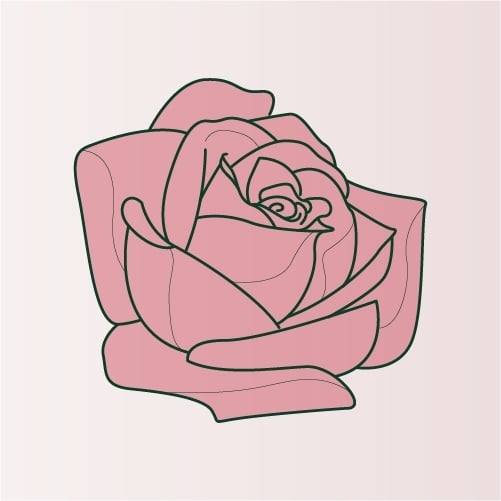 Illustration of Rose