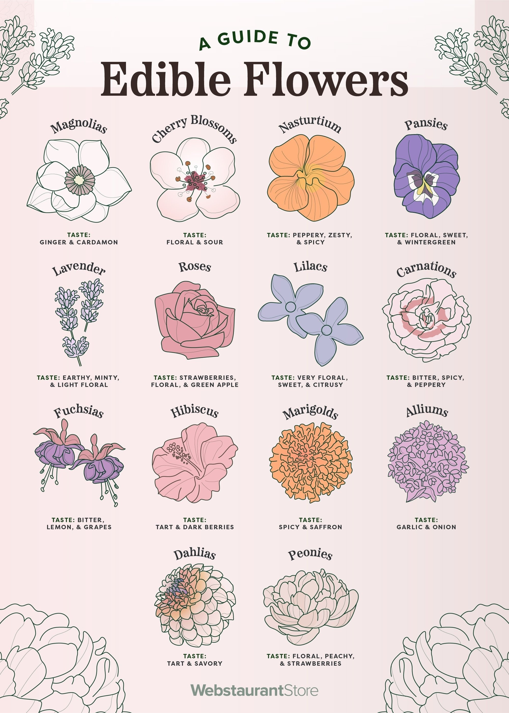 Edible Flowers Chart, Whats Cooking America