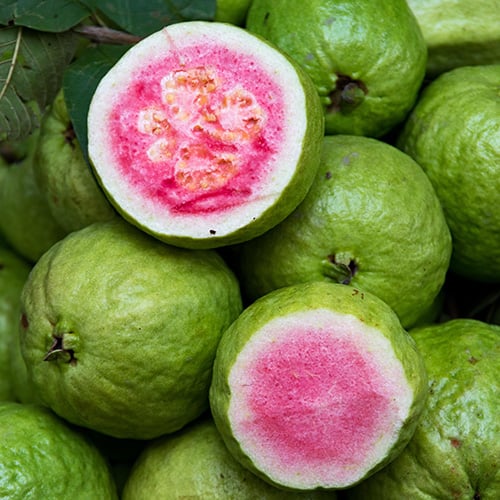 guava fruit sliced in half showing pink interior