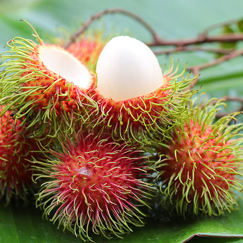 rambutan fruit on banana leaves