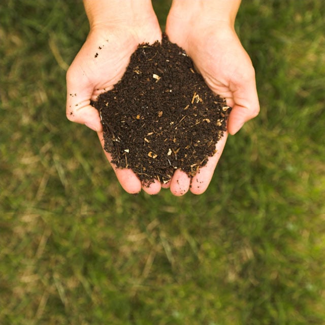 how to compost