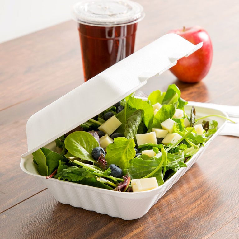 Recycle Brevard: Sustainable Options for Restaurant To-Go Containers