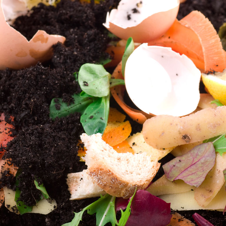 Restaurant Recycling: How to Recycle Food Waste & Trash