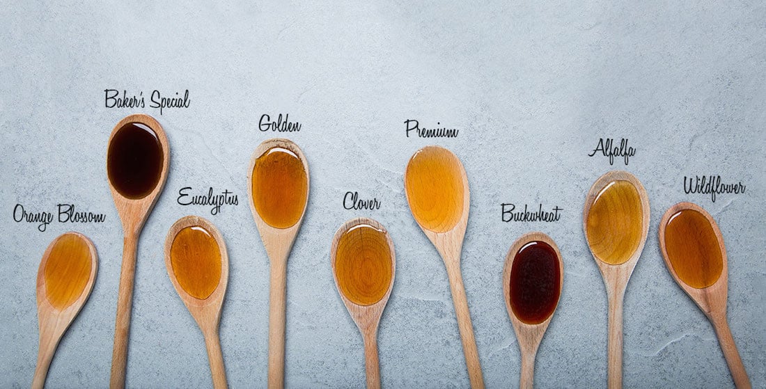 Honey Filling Machine - color chart