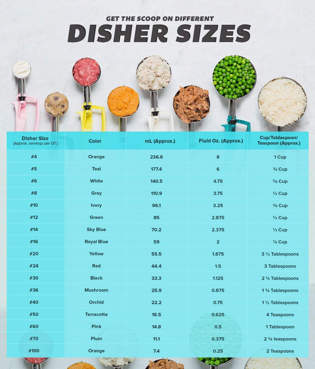 Food disher size chart