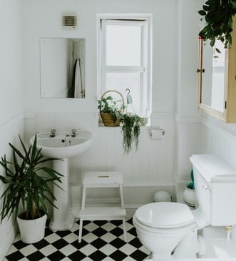 Bathroom with a black and white tile floor and a toilet, sink, and mirror with greenery