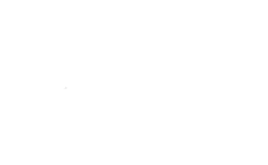 Meet Florida State University Alumni