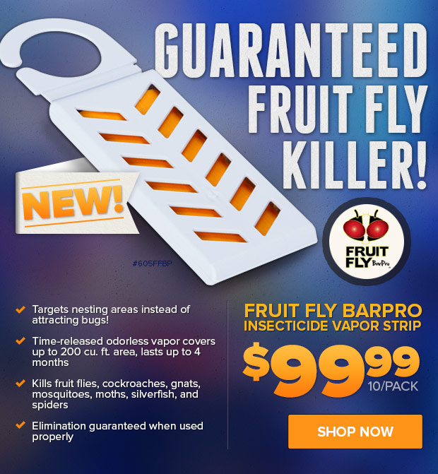 New Fruit Fly BarPro!