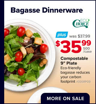 Bagasse Dinnerware