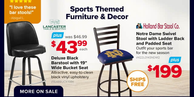 Sports Themed Furniture & Decor