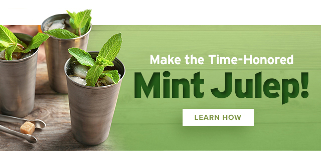 Learn How to Make the Time-Honored Mint Julep!