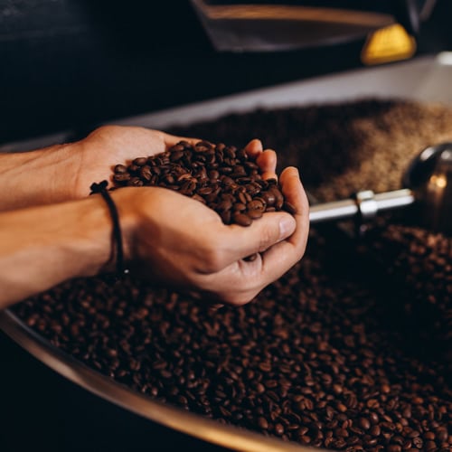 Person holding a handful of roasted coffee beans